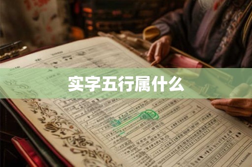 实字五行属什么