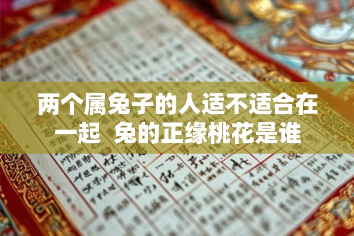 两个属兔子的人适不适合在一起  兔的正缘桃花是谁