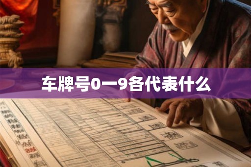 车牌号0一9各代表什么