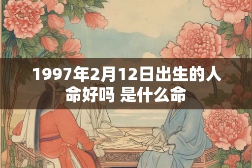 1997年2月12日出生的人命好吗 是什么命