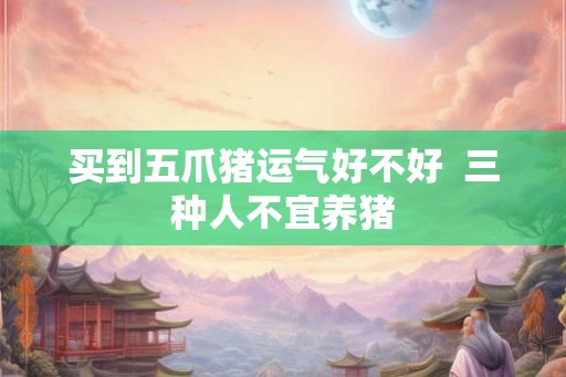 买到五爪猪运气好不好  三种人不宜养猪