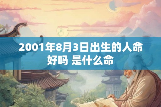 2001年8月3日出生的人命好吗 是什么命