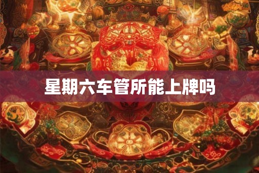 星期六车管所能上牌吗