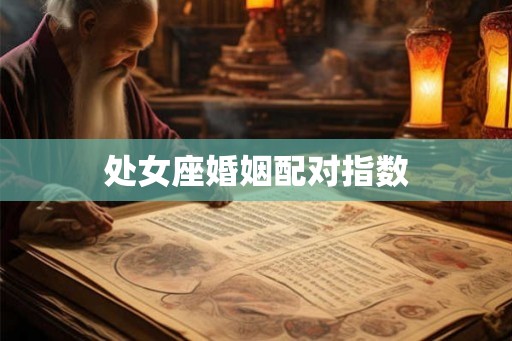 处女座婚姻配对指数 处女座婚姻配对指数