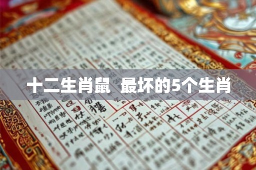 十二生肖鼠  最坏的5个生肖