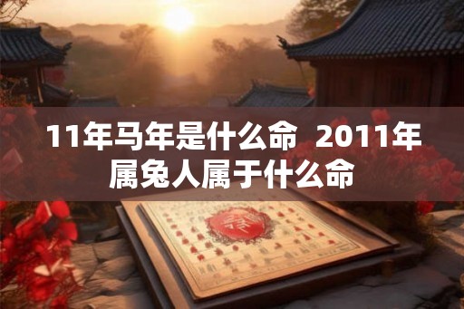 11年马年是什么命  2011年属兔人属于什么命