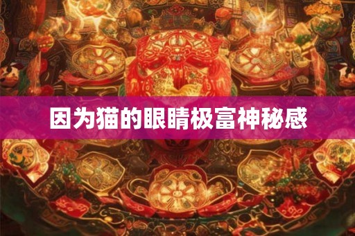 因为猫的眼睛极富神秘感