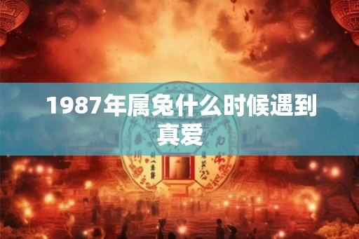 1987年属兔什么时候遇到真爱 1987年属兔什么时候遇到真爱