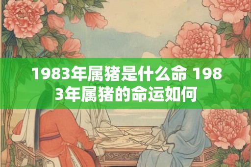 1983年属猪是什么命 1983年属猪的命运如何