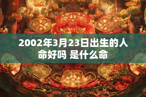 2002年3月23日出生的人命好吗 是什么命