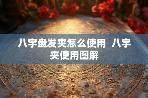 八字盘发夹怎么使用 八字夹使用图解 八字盘发夹怎么使用 八字夹使用图解