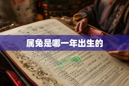 属兔是哪一年出生的