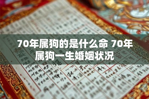 70年属狗的是什么命 70年属狗一生婚姻状况