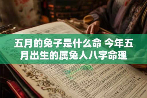 五月的兔子是什么命 今年五月出生的属兔人八字命理