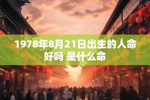 1978年8月21日出生的人命好吗 是什么命