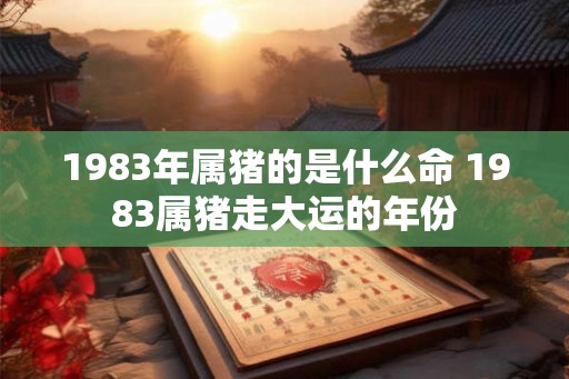 1983年属猪的是什么命 1983属猪走大运的年份