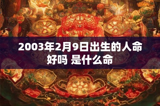 2003年2月9日出生的人命好吗 是什么命