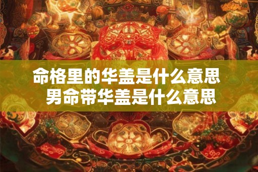 命格里的华盖是什么意思  男命带华盖是什么意思