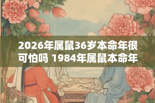 2026年属鼠36岁本命年很可怕吗 1984年属鼠本命年运势 2026年属鼠36岁本命年很可怕吗 1984年属鼠本命年运势