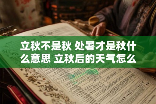 立秋不是秋 处暑才是秋什么意思 立秋后的天气怎么样 立秋不是秋 处暑才是秋什么意思 立秋后的天气怎么样