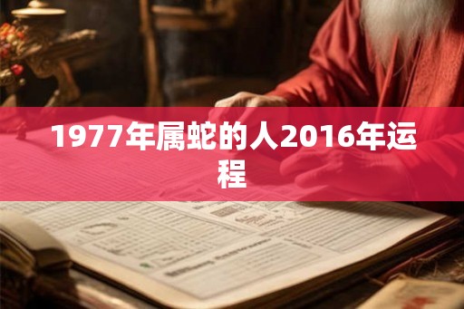 1977年属蛇的人2016年运程
