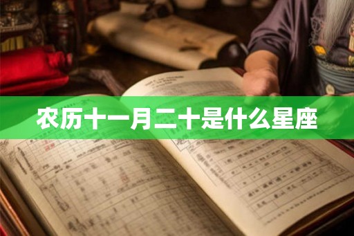 农历十一月二十是什么星座