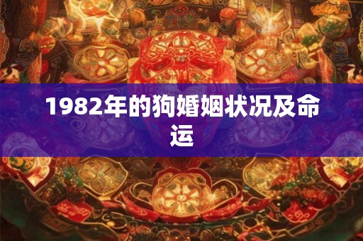 1982年的狗婚姻状况及命运