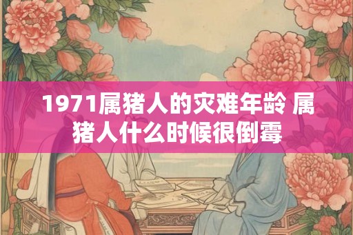 1971属猪人的灾难年龄 属猪人什么时候很倒霉