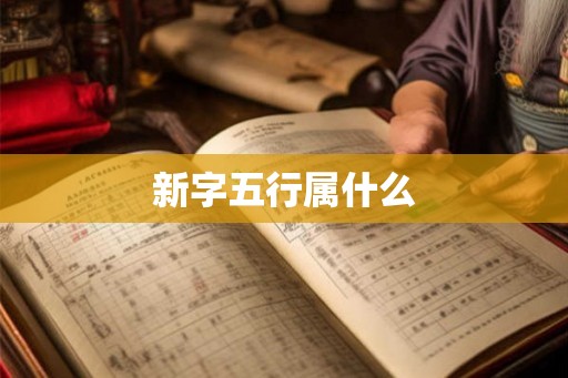 新字五行属什么