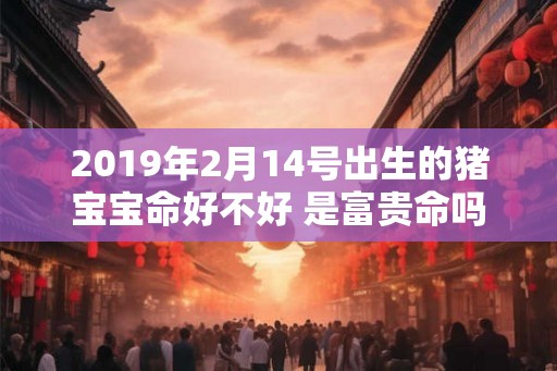 2019年2月14号出生的猪宝宝命好不好 是富贵命吗 2019年2月14号出生的猪宝宝命好不好 是富贵命吗