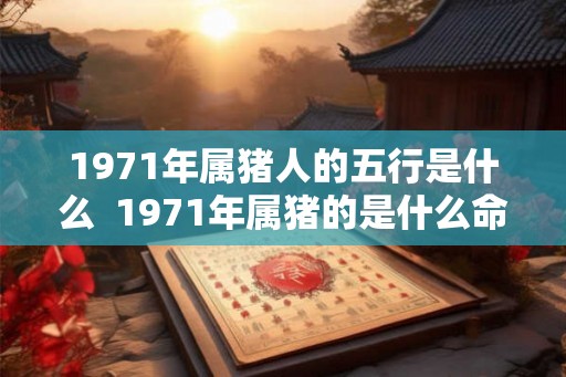 1971年属猪人的五行是什么  1971年属猪的是什么命