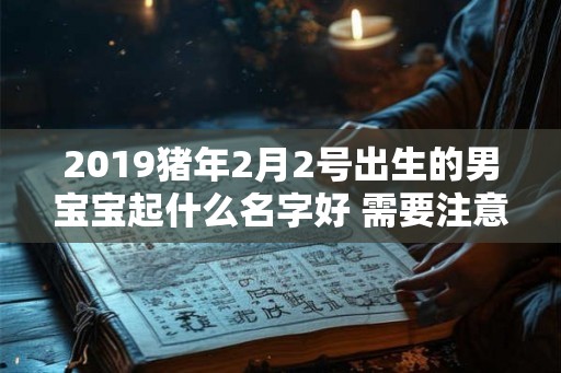 2019猪年2月2号出生的男宝宝起什么名字好 需要注意什么