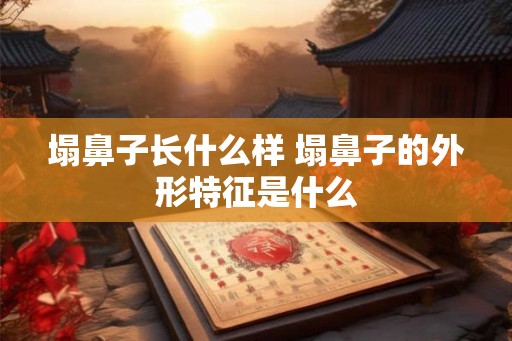 塌鼻子长什么样 塌鼻子的外形特征是什么