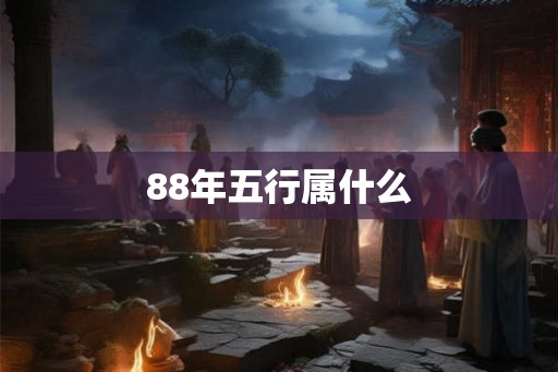 88年五行属什么