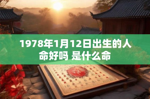 1978年1月12日出生的人命好吗 是什么命