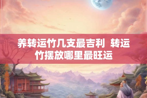 养转运竹几支最吉利  转运竹摆放哪里最旺运