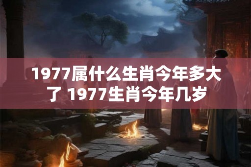 1977属什么生肖今年多大了 1977生肖今年几岁 1977属什么生肖今年多大了 1977生肖今年几岁