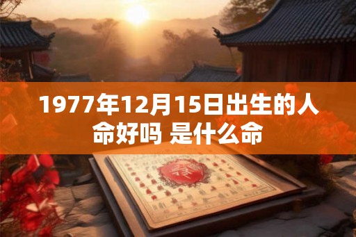 1977年12月15日出生的人命好吗 是什么命