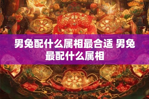男兔配什么属相最合适 男兔最配什么属相