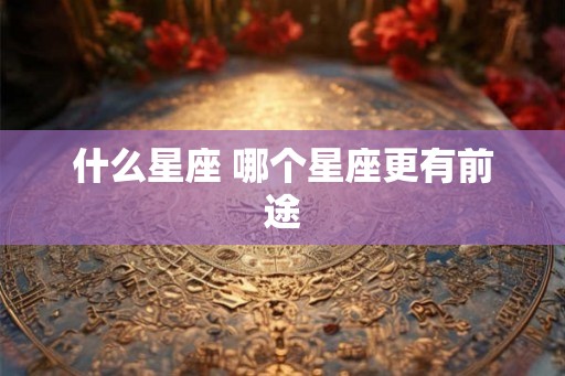 什么星座 哪个星座更有前途