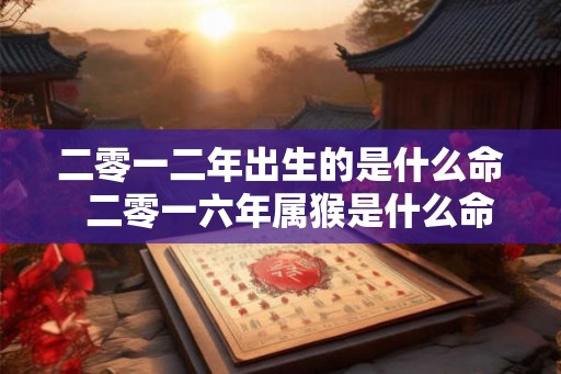 二零一二年出生的是什么命  二零一六年属猴是什么命