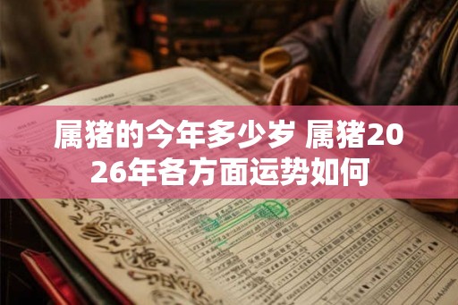属猪的今年多少岁 属猪2026年各方面运势如何