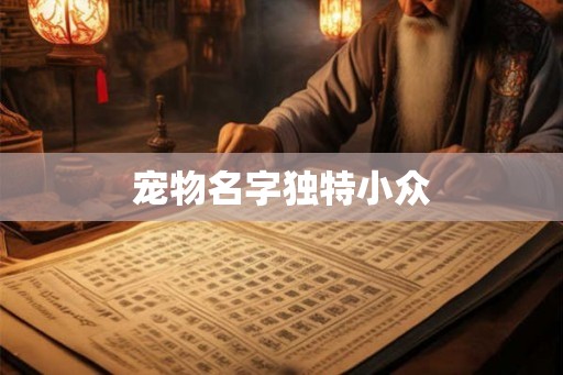 宠物名字独特小众