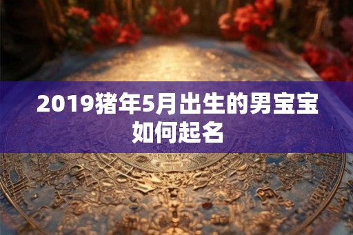 2019猪年5月出生的男宝宝如何起名