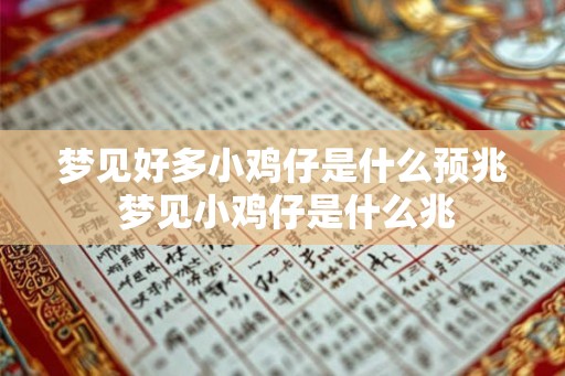 梦见好多小鸡仔是什么预兆 梦见小鸡仔是什么兆