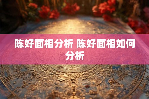 陈好面相分析 陈好面相如何分析
