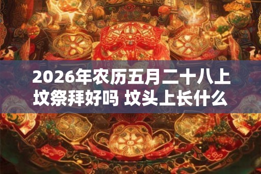 2026年农历五月二十八上坟祭拜好吗 坟头上长什么草出大官