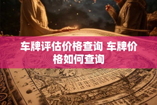 车牌评估价格查询 车牌价格如何查询