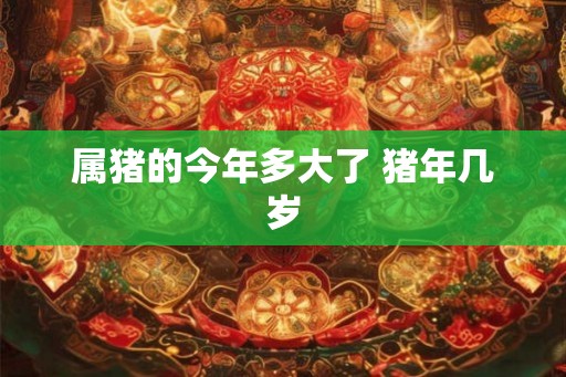 属猪的今年多大了 猪年几岁