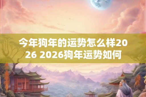 今年狗年的运势怎么样2026 2026狗年运势如何